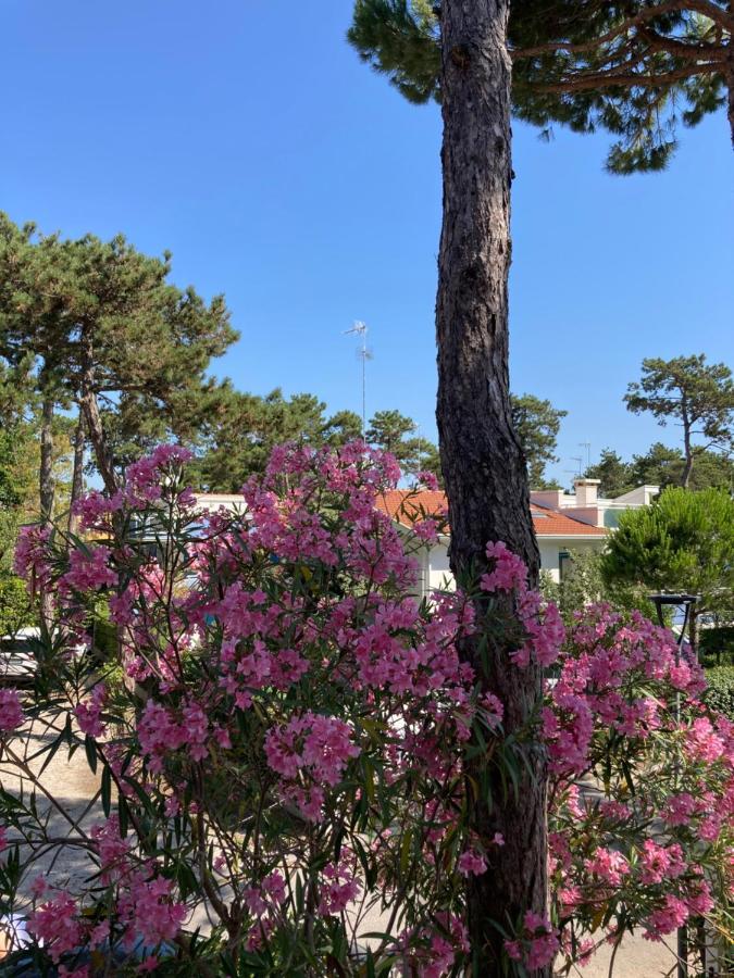 Villa Vittoria 리그나노 사비아도로 외부 사진